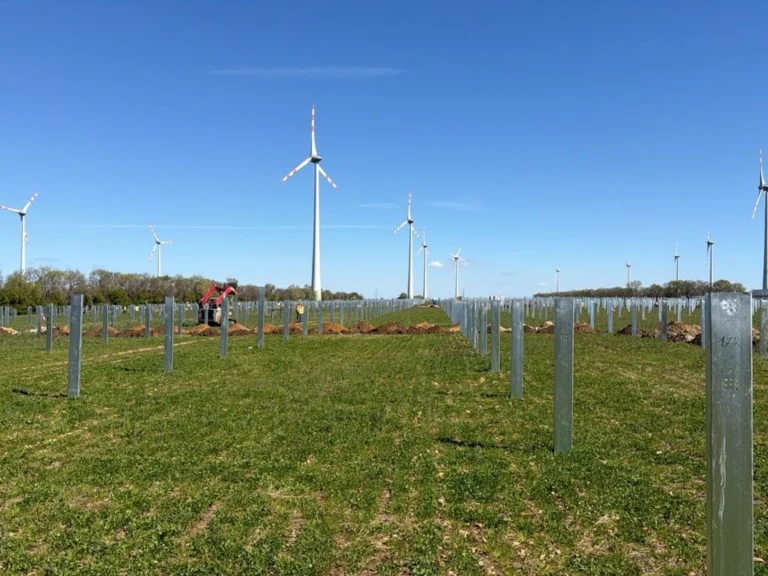 Gerammte Stützpfosten für die Unterkonstruktion, im Hintergrund Windräder